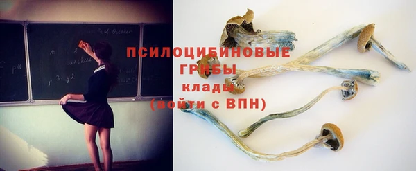 ALPHA PVP Костерёво