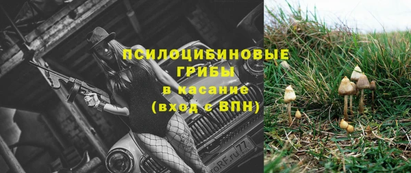 Альфа ПВП Корсаков