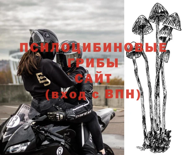 гашиш Абаза