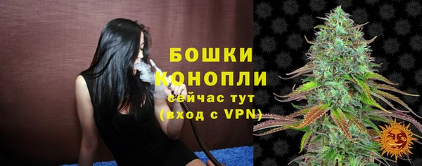 Альфа ПВП Корсаков