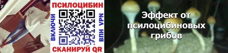 сколько стоит  Екатеринбург  кракен   Псилоцибиновые грибы MAGIC MUSHROOMS 