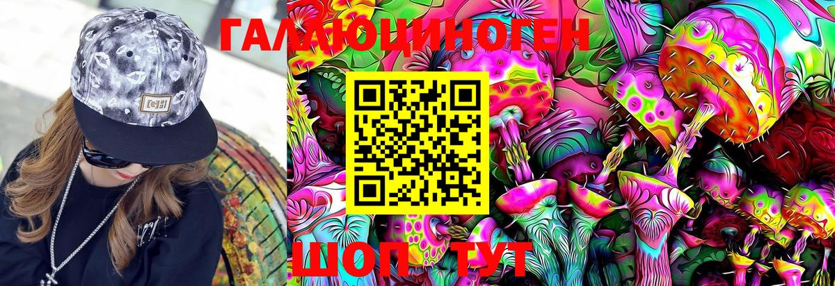 Псилоцибиновые грибы Cubensis Екатеринбург