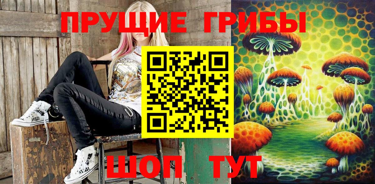 Галлюциногенные грибы мухоморы  Вход с VPN  Галлюциногенные грибы Psilocybine cubensis  Екатеринбург 