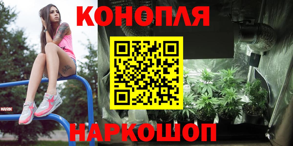 Бошки Шишки ГИДРОПОН Екатеринбург